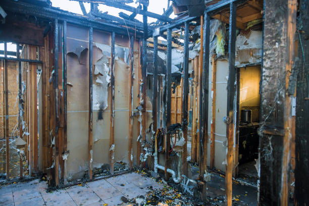 Professional Fire Damage Removal technician working in Holualoa, HI